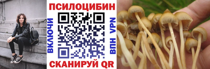 продажа наркотиков  Мелеуз  Галлюциногенные грибы GOLDEN TEACHER 